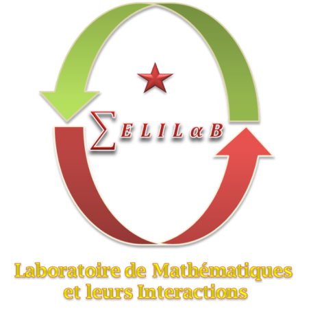 MELILAB_Laboratory of mathematics and theirs  interactions